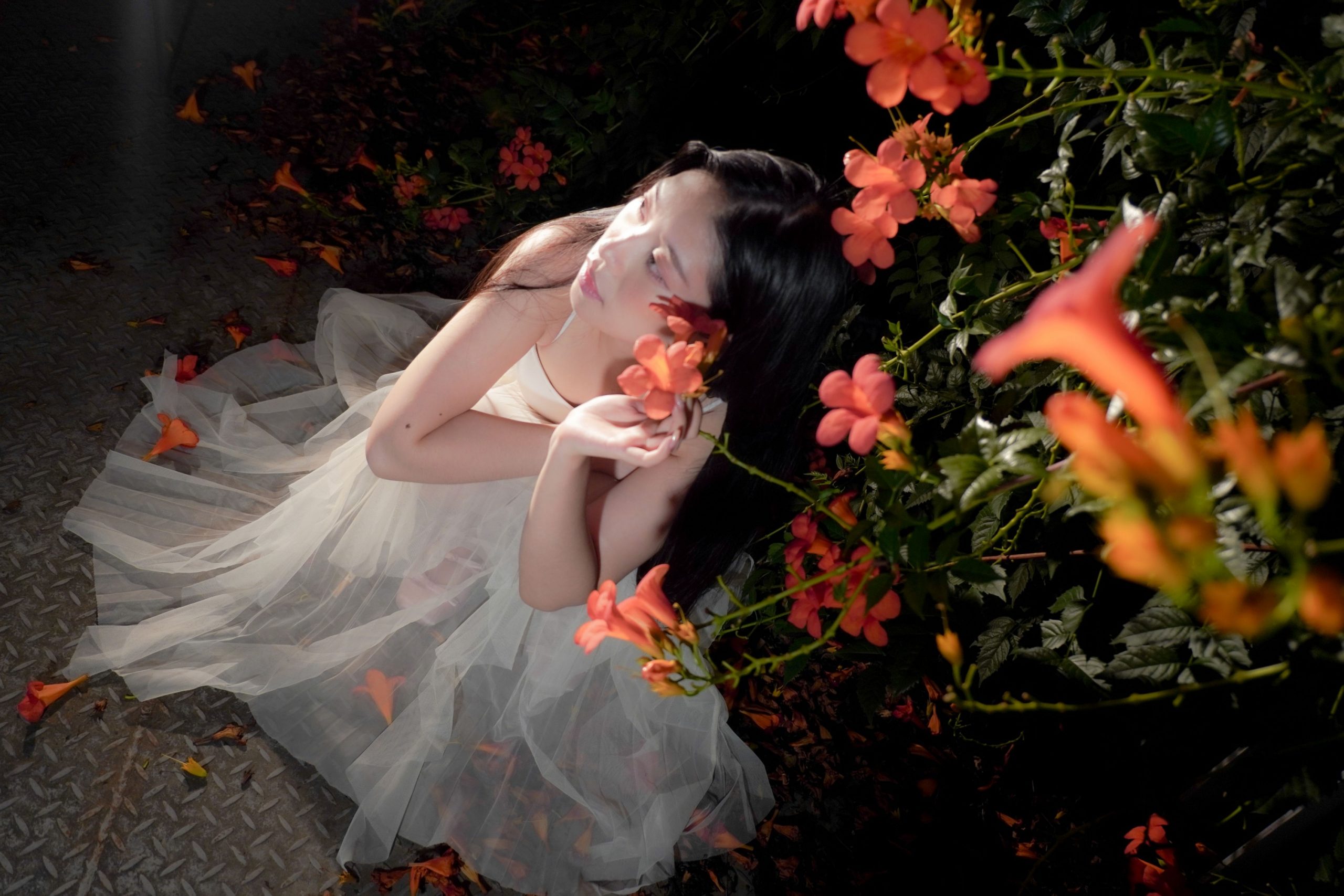 – 《梦里花》[11P]
