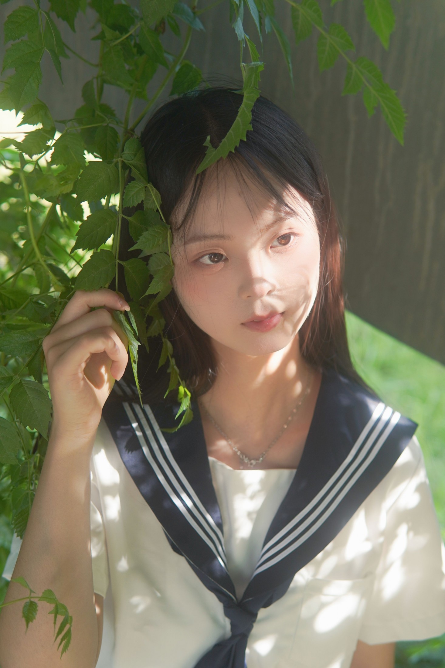 – 《凌霄花开》[12P]